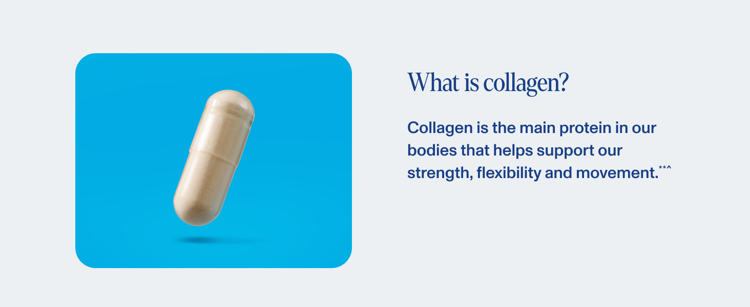 Collagen is the main protein in our bodies.