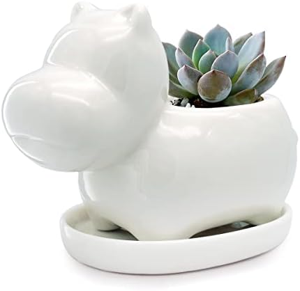 GeLive White Cow Succulent Pot, Small Ceramic Animal Planter with Drainage Hole & Saucer for Cactus, Mini Air Plants, Pencil Holder Brush Organizer, Indoor Home Office Desk Decor, Funny Gift