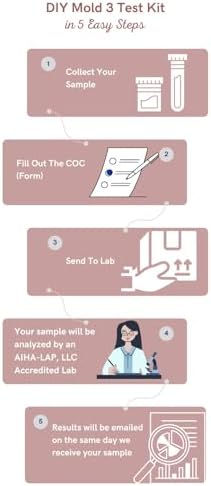 DIY Mold 3 Test Kit (Same Day Results) Expert Consultation and AIHA-LAP, LLC Accredited Lab Analysis Included