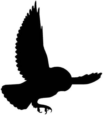 Ranger Products Owl Screeching Barn Decal Sticker, Die Cut Vinyl Decal for Windows, Cars, Trucks, Tool Boxes, laptops, MacBook - virtually Any Hard