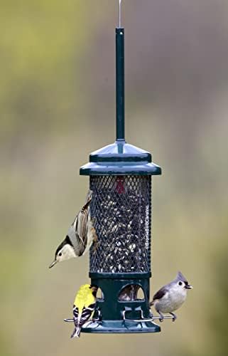 Squirrel Buster Standard Squirrel-proof Bird Feeder w/4 Metal Perches, 1.3-pound Seed Capacity, garden green | Four metal perches