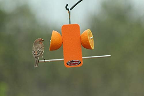Recycled Single Oriole Orange Fruit Stick Feeder
