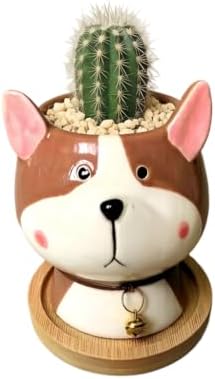 Cuteforyou Succulent Pots,Cute Animal Shaped Cartoon Ceramic Succulent Cactus Flower Planters -Plant Not Included，Cat