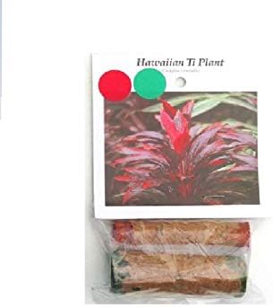 Red & Green Hawaiian "Good Luck" Ti Plant Starter Logs