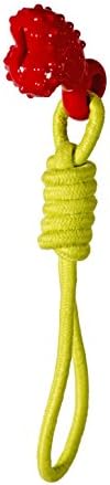 Chase 'n Chomp Comet Fetch-Tug Rope Toy with That Holds Treats & Floats