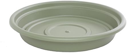 Bloem SDC8-46 Dura Cotta Plant Saucer, Terra Cotta, 8"