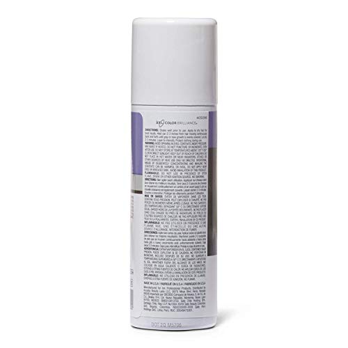 ion Auburn Root Cover Airbrush Tint