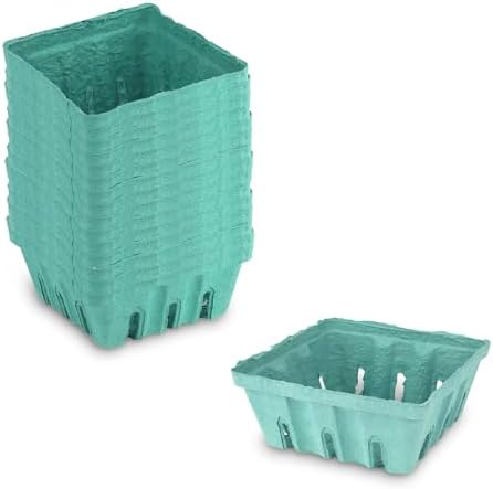 MT Products Green Berry Basket 1 Quart - Molded Pulp Fiber Vented Produce Basket (Pack of 15) - Made in the USA