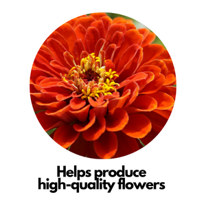 potash potassium plant food fertilizer increases flowers on plants indoor and outdoor potato garden