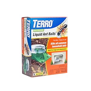ants, baits, ant bait, killing ants, terro
