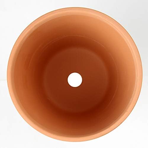 Briful 4 Shallow Terracotta Pots 5.5"x2.8" Flower Pots Clay Pottery Planter with Drainage Hole - Great for Cactus, Succulent Plants and Crafts