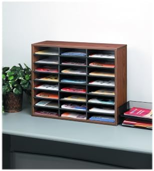 Fellowes 24-Compartment Literature Organizer, Letter Size, Medium Oak (25043)
