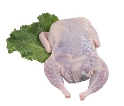 Semi-boneless Texas Cross Quail 4-5oz - 24 Count | Premium, All-Natural Quail for Gourmet Dishes, Bulk Pack for Chefs and Culinary Lovers