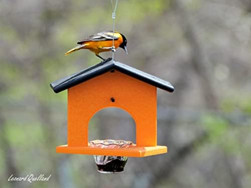Oriole Bird Feeder, Poly Lumber Hanging Oriole Jelly Feeder (Black/Orange)