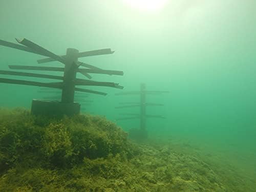 Root WAD, Artificial Fish Habitats for Lakes and Ponds