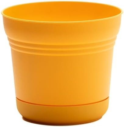Bloem Saturn Round Planter with Saucer Tray: 14" - Black - Durable Plastic Pot, Matte Finish, Removable Saucer, for Indoor & Outdoor Use, Gardening, 5 Gallon Capacity