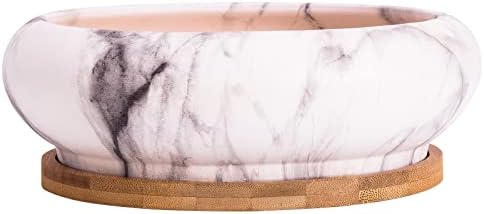 Succulent Pots, 7.3'' Large Bonsai Pots with Tray, Shallow Planters