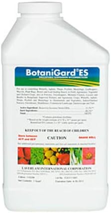Insecticide
