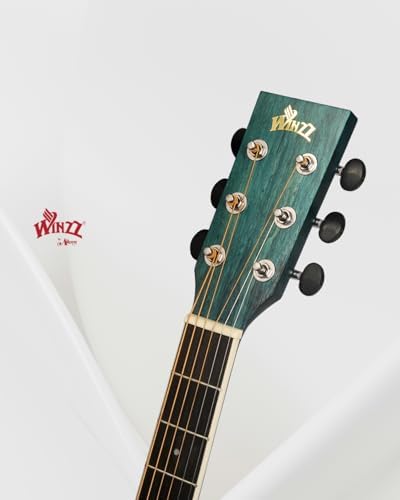 Winzz 40 Inches Acoustic Steel-string Guitar Beginner, Elegant Unique Color Design (Blue-green)