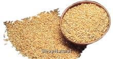 Wheat, Winter, Hard Red, 50# Bulk