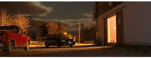 Feit Electric LED E26 500W 10000L DL