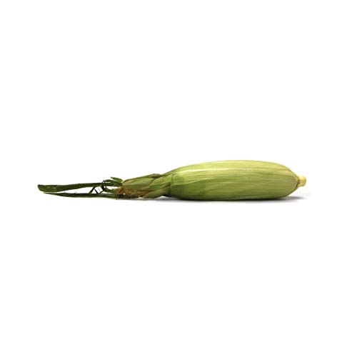 Bi-Color Corn