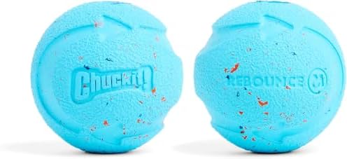 Chuckit! Rebounce Ball Dog Toy, Medium 2.5 Inch, for Dogs 20-60 lbs, Blue | Bouncy rubber build, unpredictable bounce pattern, durable outdoor construction, pack of 2 balls, great for playtime today