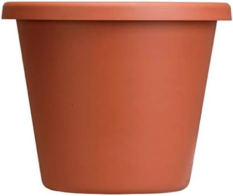 The HC Companies Classic Pot, 10", Clay