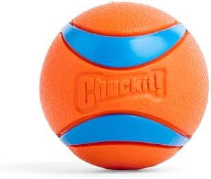 Chuckit! Ultra Ball Dog Toy, Balls for Dogs to Fetch, Durable Rubber, Small 2-inch, Pack of 2