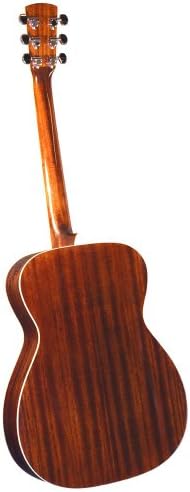 Regal RD-40V Studio Series Roundneck Resophonic Guitar - Vintage Sunburst