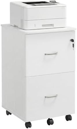 VASAGLE CUSTOS Collection - 2-Drawer File Cabinet, Locking Filing Cabinet for Home Office, Small Rolling Printer Stand, A4, Letter-Size Hanging Files