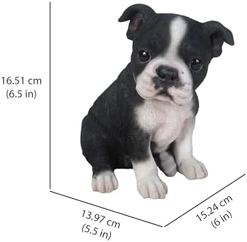Hi-Line Gift Ltd Sitting Boston Terrier Puppy Statue