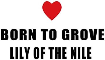 Born to Grove Lily of The NILE Decal Car Laptop Wall Sticker