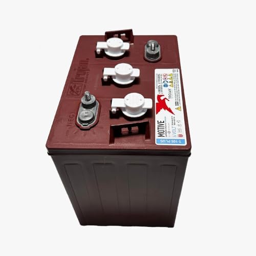 Banshee 4 Pack - Trojan T-105 Plus 6V Volt Deep Cycle Golf Cart, Solar, Marine, RV and Industrial Use Battery …