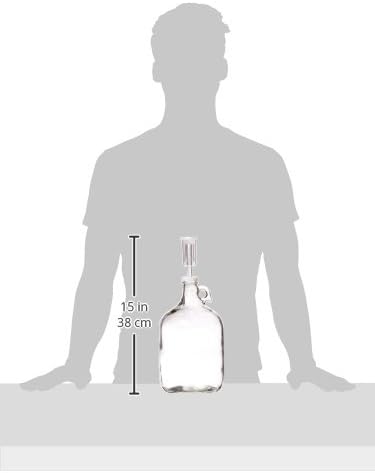 1 Gallon Glass Jug with Airlock, #6.5 Rubber Bung and Twin Bubble Design | Clear Fermentation Jug for beer, wine, cider & kombucha | Reusable food-grade construction for home brewing | Glass Fermenter