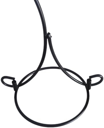 Ornament Display Stand Iron Pothook Stand for Hanging Glass Terrarium/Picture (Double-Hook, Black)