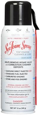 SEA FOAM SPRAY CLNR 12OZ