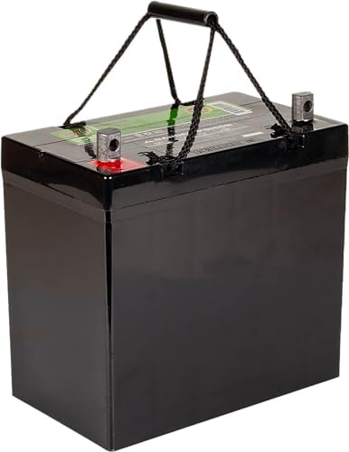 Interstate Batteries 12V 35Ah SLA AGM Deep Cycle Battery Insert Terminal