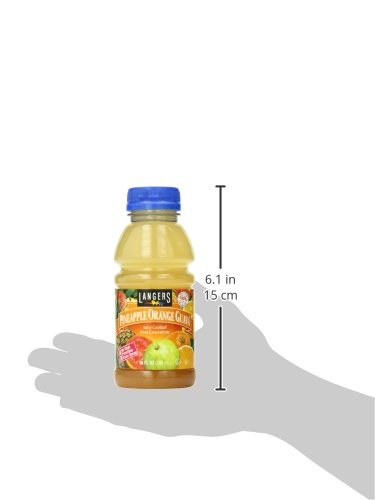 Langers Juice Cocktail, Pineapple Orange Guava, 10 Fl Oz (Pack of 12)