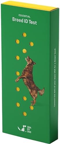 DNA MY DOG - Dog DNA Test Kit | 350+ Breeds Identified | 99%+ Accuracy | Allergy Risk Score | Personality & Behavior Insights | Results in 2-3 Weeks |
