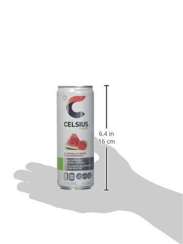 CELSIUS Sparkling Peach Vibe, Functional Essential Energy Drink 12 Fl Oz (Pack of 4)