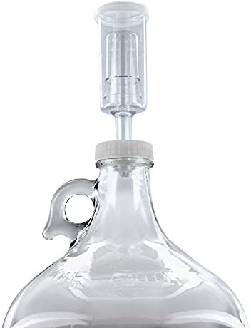 1 Gallon Glass Jug with Airlock, #6.5 Rubber Bung and Twin Bubble Design | Clear Fermentation Jug for beer, wine, cider & kombucha | Reusable food-grade construction for home brewing | Glass Fermenter