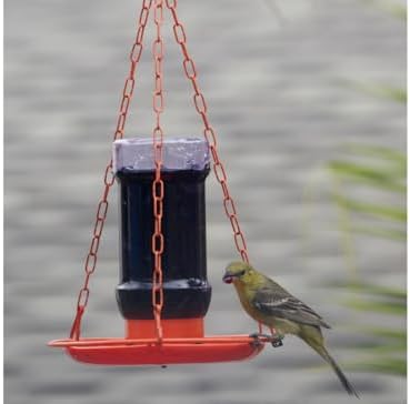 Perky Pet Jelly Feeder Oriole 32 Oz