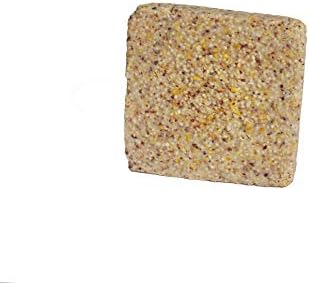 ST. ALBANS BAY SUET PLUS Suet Cake Variety Packs, 11 oz. Wild Bird Suet Cakes (High Energy, 10 Pack)