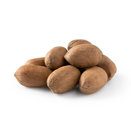 NUTS U.S. - Pecans In shell | Whole