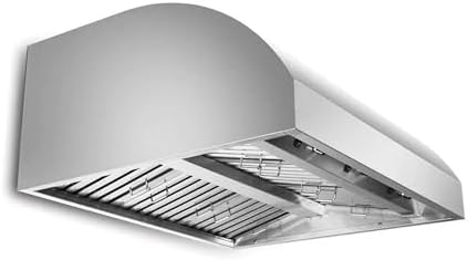 Blaze 42-Inch Outdoor Vent Hood | 304 Stainless Steel Construction | Dual 1000 CFM Blowers with 4-Speed Fan Control | Commercial Baffles & Halogen