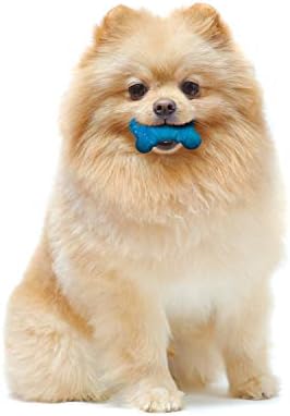 Nylabone Flexi Chew Tiny Gumabone Dog Chew Toys, XX-Small, 2 Count | Peanut butter & bacon flavor, x-small breeds, flexible material, fill with treats