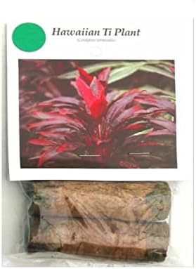 HAWAIIAN GREEN TI LEAF PLANT 2 LOGS ~ GROW HAWAII