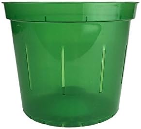 Orchid Pot - 6 inch Slotted Clear Orchid Pots - 3 Pack (Crystal Clear)