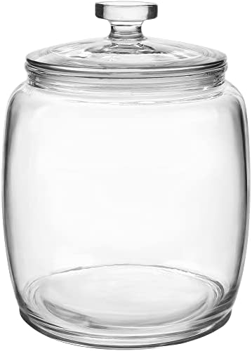Daitouge 2.5 Gallon Glass Jars with Lids, Wide Opening Large Jar, 1 Pack